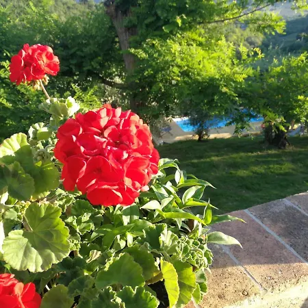 Holiday home Le Massucce