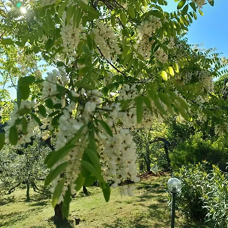 Le Massucce Сasa de vacaciones