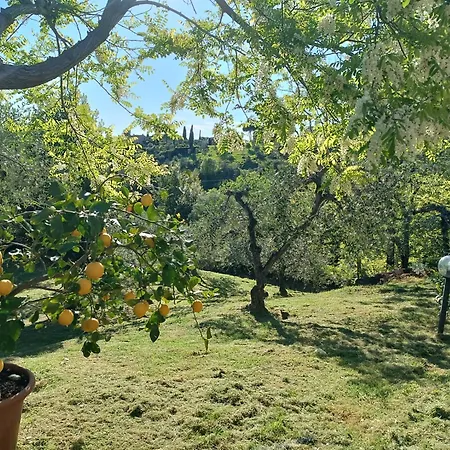 Le Massucce Сasa de vacaciones San Casciano in Val di Pesa