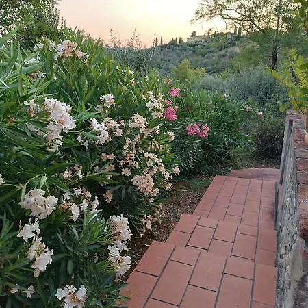 Holiday home Le Massucce San Casciano in Val di Pesa