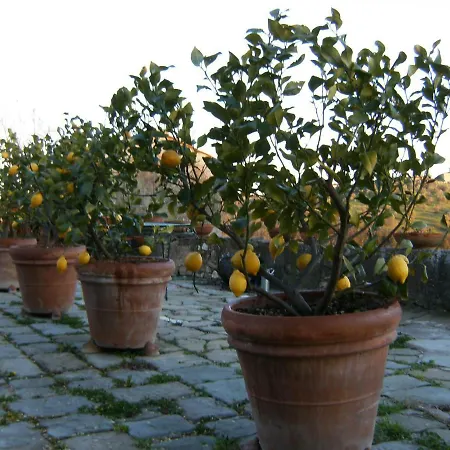 Le Massucce Holiday home San Casciano in Val di Pesa