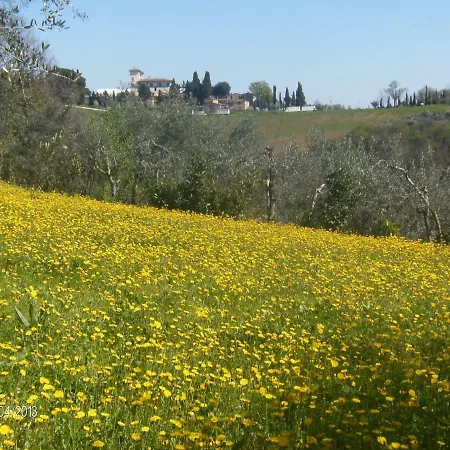 Le Massucce San Casciano in Val di Pesa