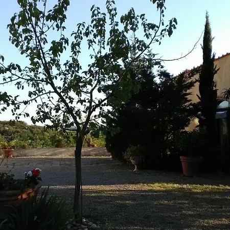 Le Massucce