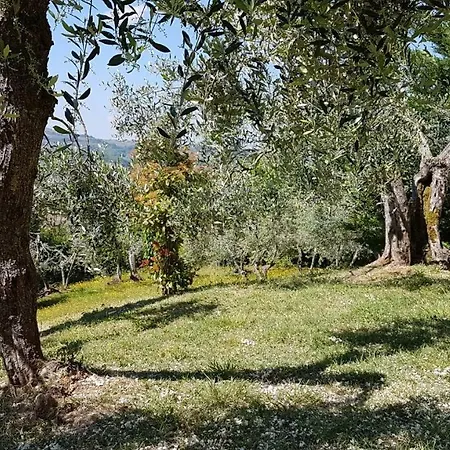 Сasa de vacaciones Le Massucce *