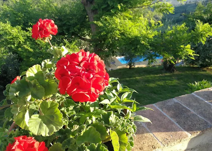 Сasa de vacaciones Le Massucce
