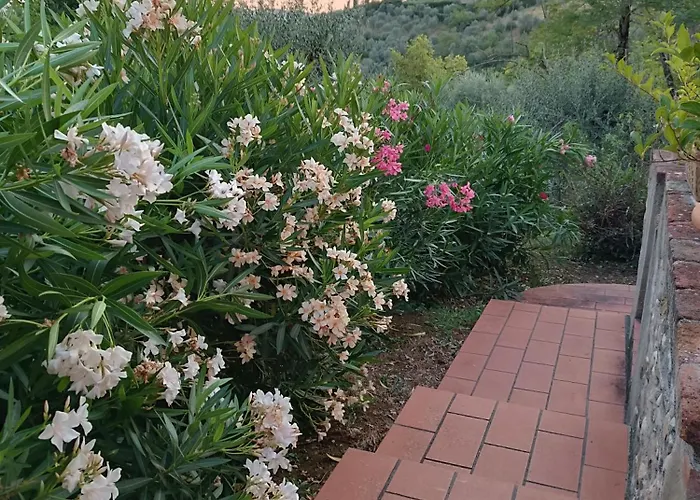 Сasa de vacaciones Le Massucce San Casciano in Val di Pesa