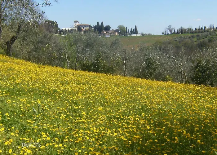 Le Massucce San Casciano in Val di Pesa