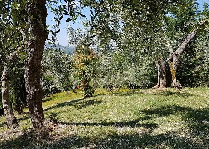 Сasa de vacaciones Le Massucce *